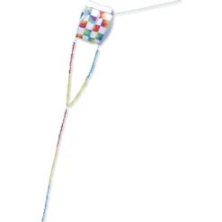 Kites Killip Foil Kite 20 - Rainbow Check