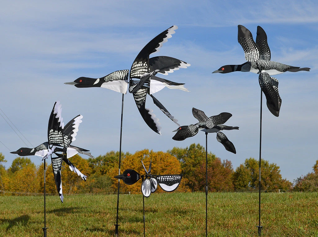 WindGarden 19 In. WhirliGig Spinner - Loon WindGarden