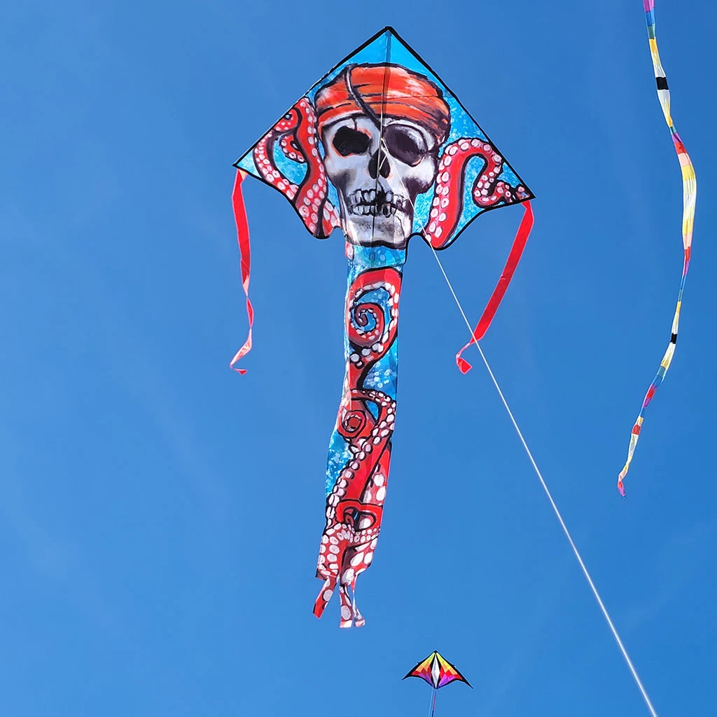 Kites Premier Kites Large Easy Flyer Kite - Pirate Octopus