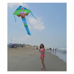 Kites Premier Kites Large Easy Flyer Kite - Wade Duck
