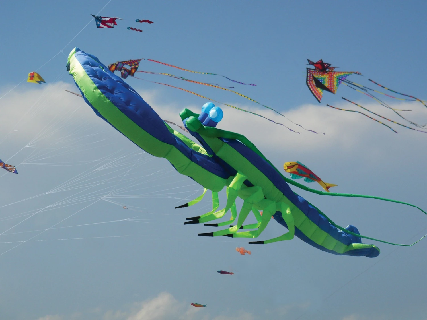 Collections Kites Collections Giant Lobster Kite - Blue
