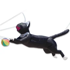 Collections Kites Ram Air Cat Line Device For Kites - Black