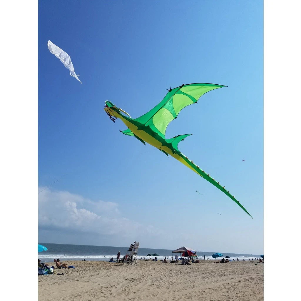 Collections Kites Giant Dragon Kite - Green