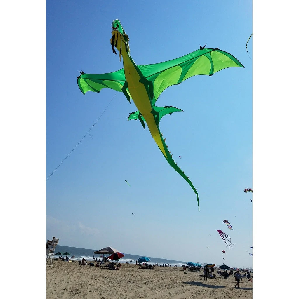 Collections Kites Giant Dragon Kite - Green