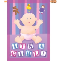 Accent Home & Garden Accent 28 In. Flag - Baby Girl