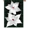 Accent Home & Garden - Sale Accent 28 In. Flag - Silver Poinsettia