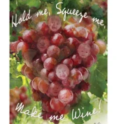 Accent Home & Garden - Sale 28 In. Flag - Make Me Wine Accent