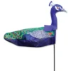 Premier Kites & Designs Windicator Weather Vane - Peacock