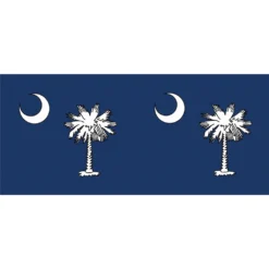 WindGarden WindGarden Windsock - South Carolina Flag