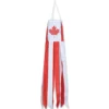 Accent Home & Garden Windsock - Canada
