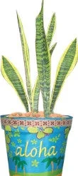 Accent Home & Garden - Sale Accent Flower Pot Cover - Waikiki Beach